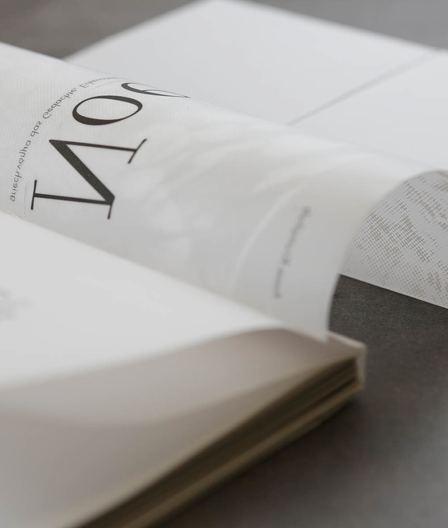 dame_und_dusa_noema_c04