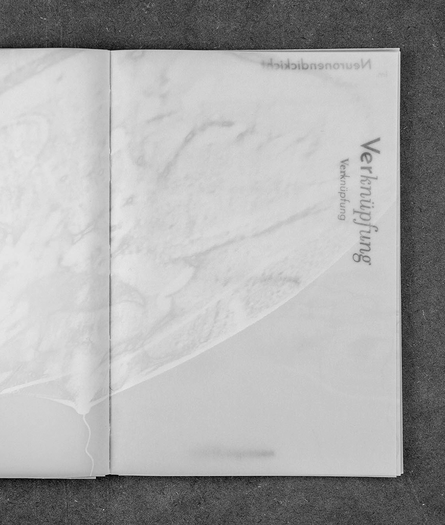 dame_und_dusa_noema_c10