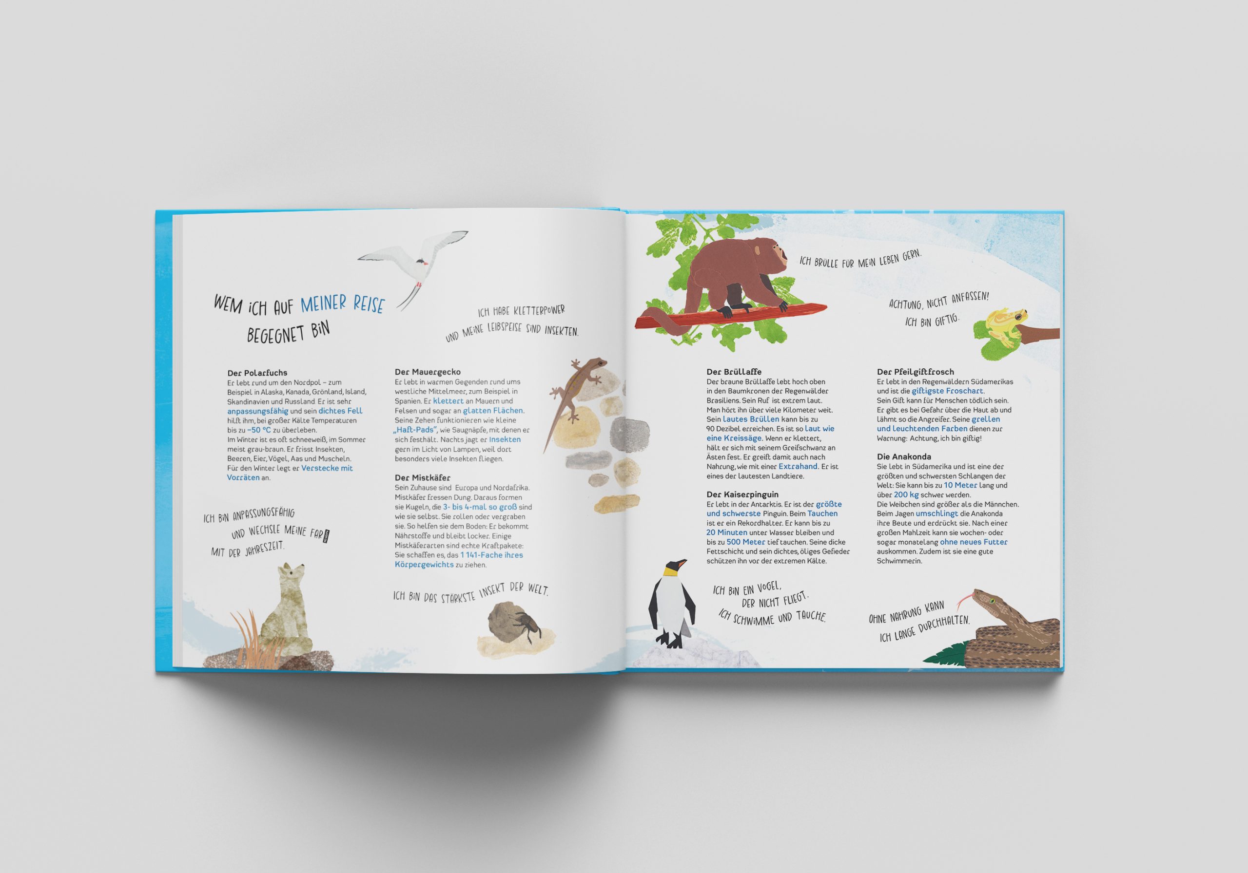 mockups-design.com